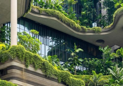 freepik_make-this-image-more-real_2847669469