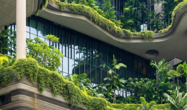 freepik_make-this-image-more-real_2847669469